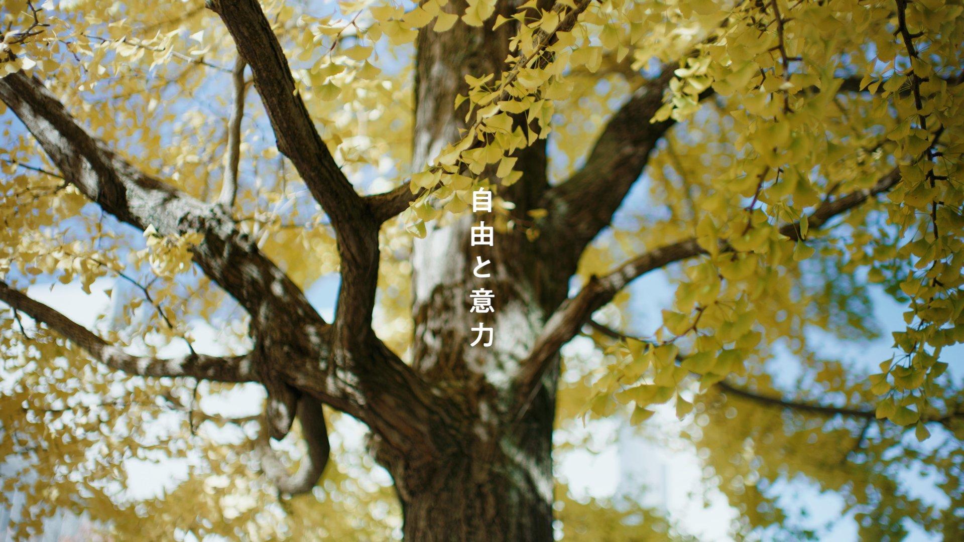 自由と意力