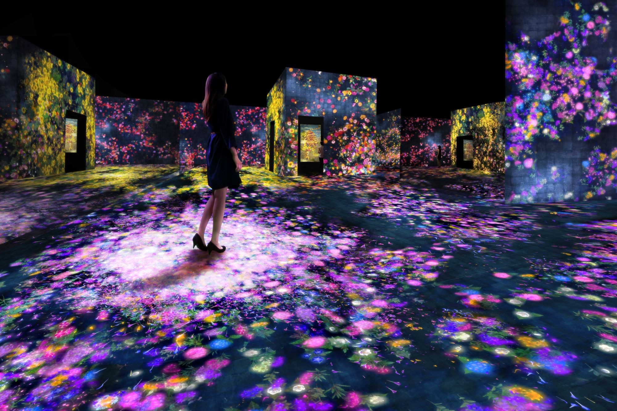 『花と人の森、埋もれ失いそして生まれる / Forest of Flowers and People: Lost, Immersed and Reborn』 teamLab, 2017, Interactive Digital Installation, Endless, Sound: Hideaki Takahashi 中国・北京でのチームラボ個展「teamLab: Living Digital Forest and Future Park」にも携わった。