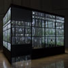 “植物の記憶：Subtle Intimacy (2012-2022)” ／2022／ガラス、植物、LEDライト／h2304 x d3045 x w3045mm