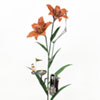 plant×plant_Lily Perfume／W200x H690xD190㎜／iron,brass,wood,glass,wax／2020