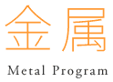 金属 Metal Program