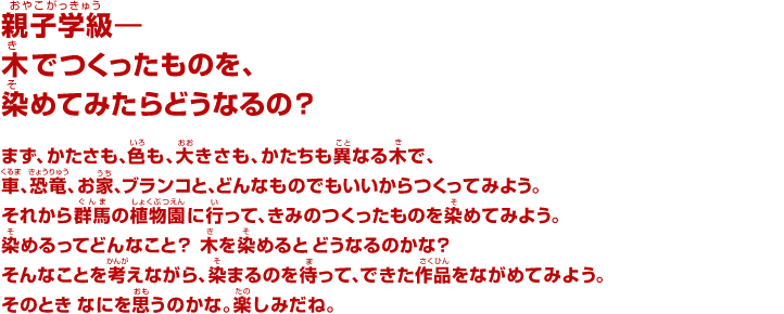 親子学級―木でつくったものを、染めてみたらどうなるの？