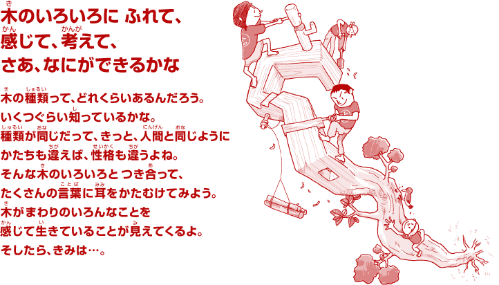 木のいろいろに ふれて、感じて、考えて、さあ、なにができるかな