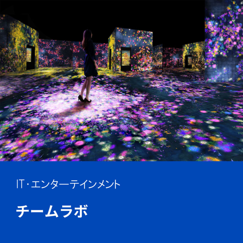 teamlab-800x800.jpg?v=202404021320