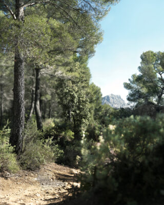 pm_06_work_01-320x400.jpg?v=