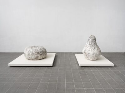 img_01-113-400x300.jpg?v=