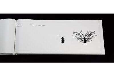 pro_g_works_2013_gd_s12_images