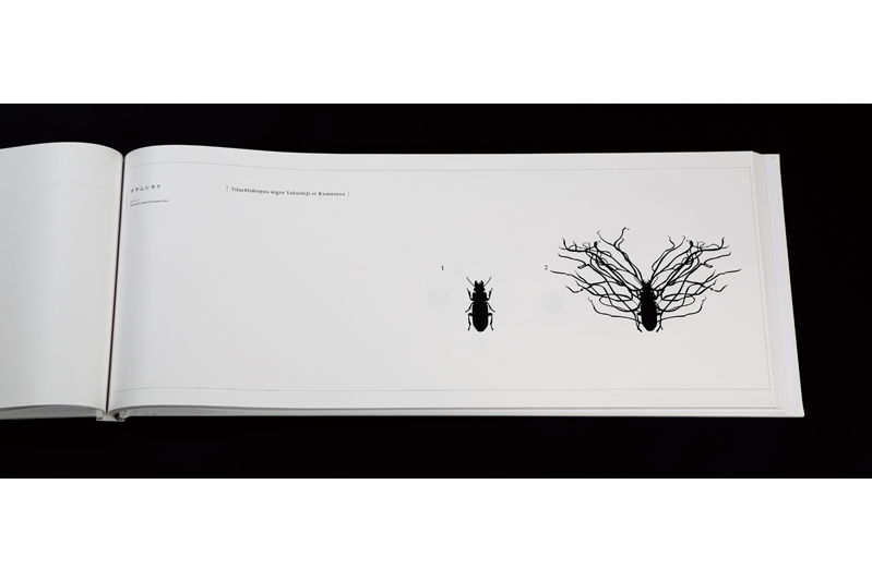 pro_g_works_2013_gd_s12_images