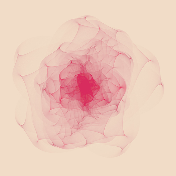 計良 風太 《花曲線》 | 多摩美術大学