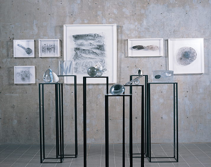 山崎 あゆみ 《Individual relationship》 | 多摩美術大学