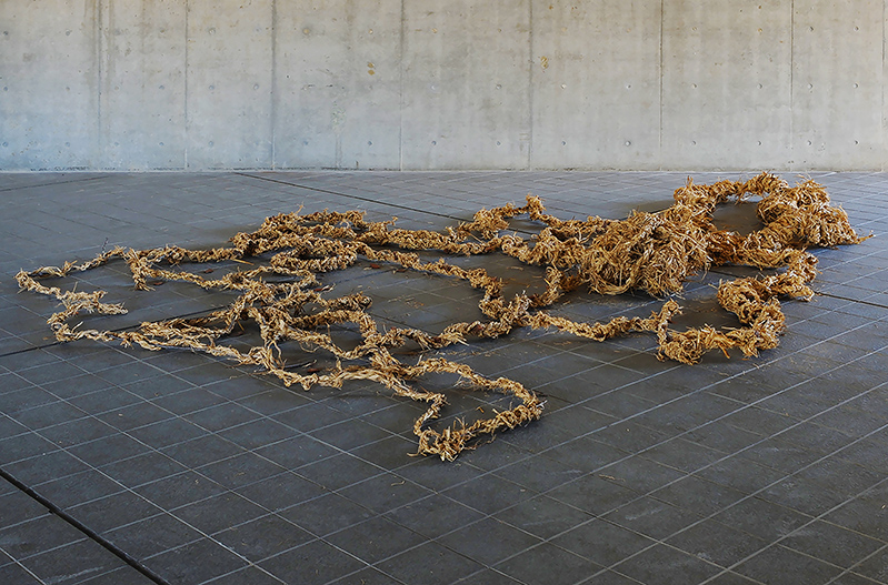 pro_g_works_2018_sc_s9_images_