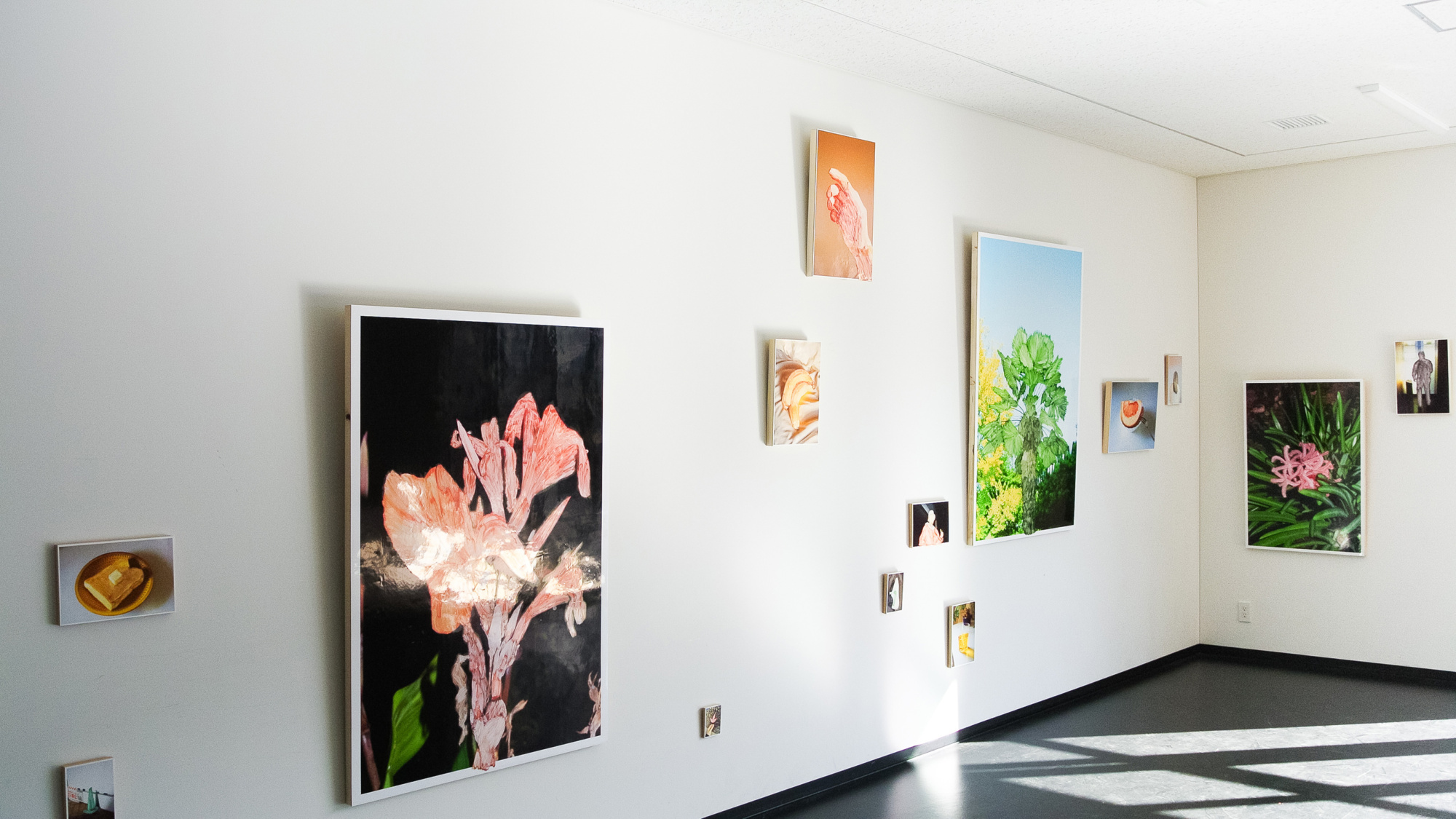 3b164d81a662af369b39656603bc27