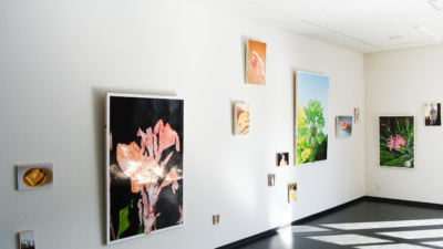 3b164d81a662af369b39656603bc27