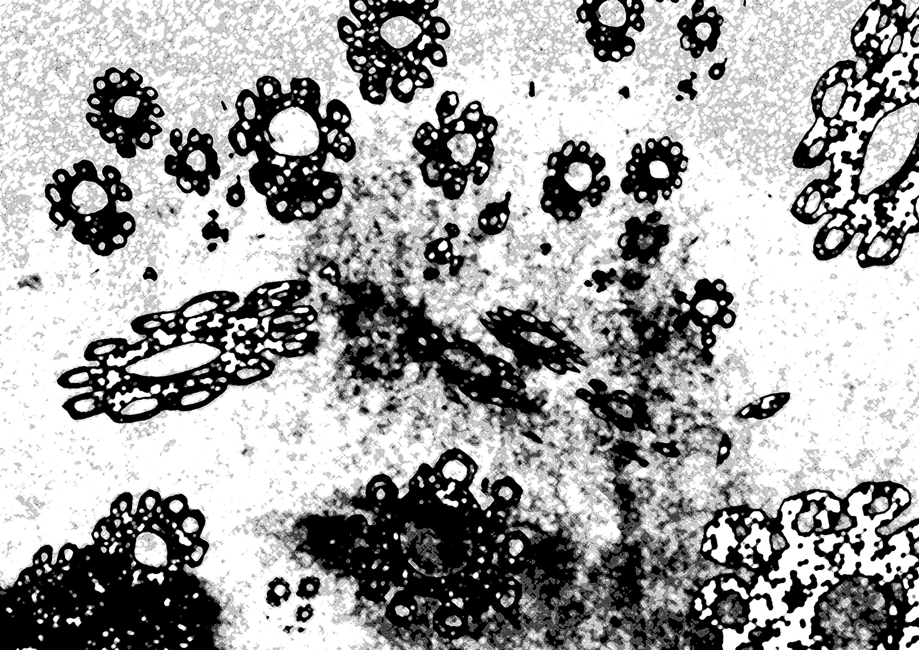 d350f7ed26824600e54ad96d14886a