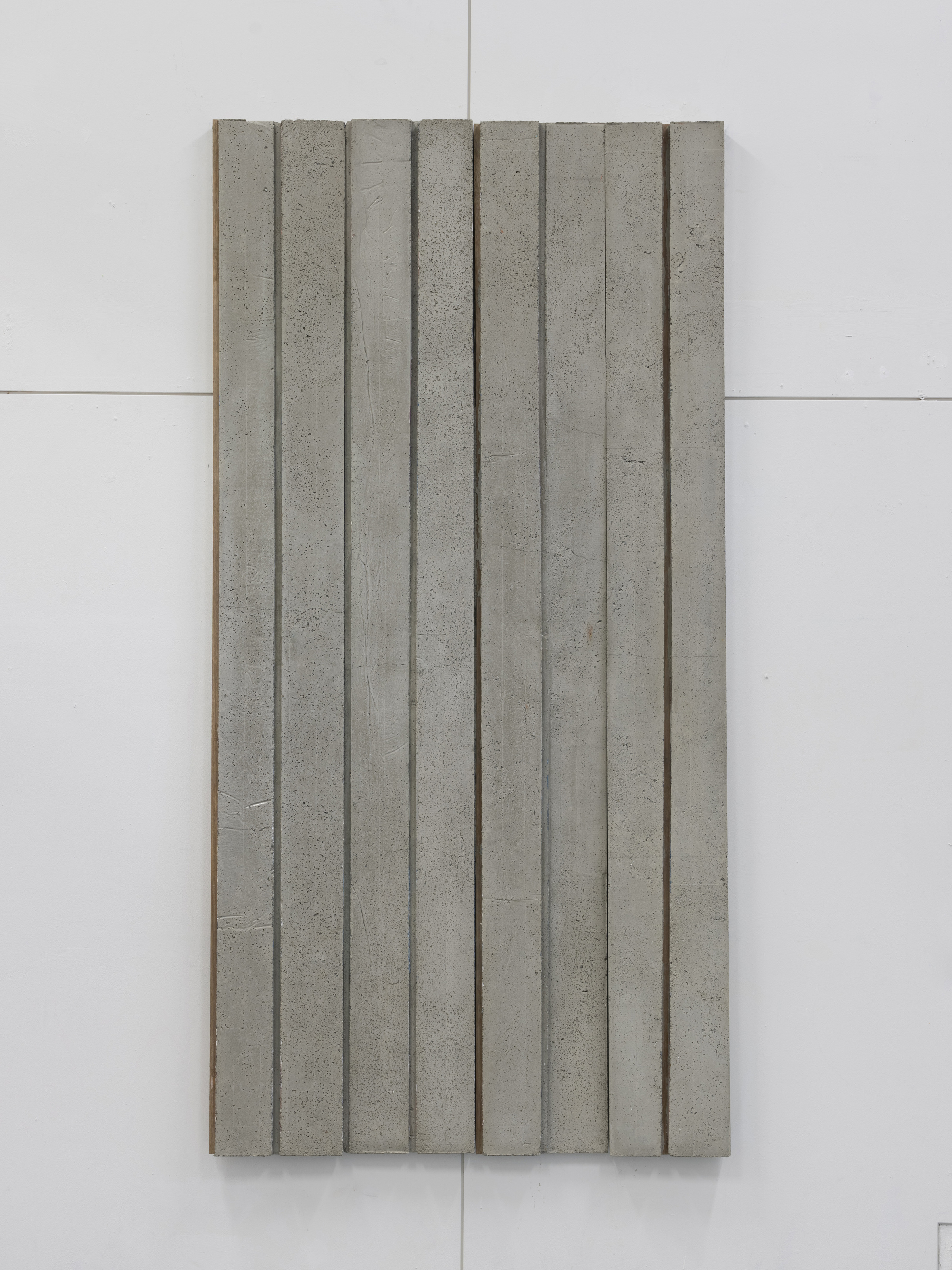 島田 理央 《片目による連続／現像による離散》 | 多摩美術大学