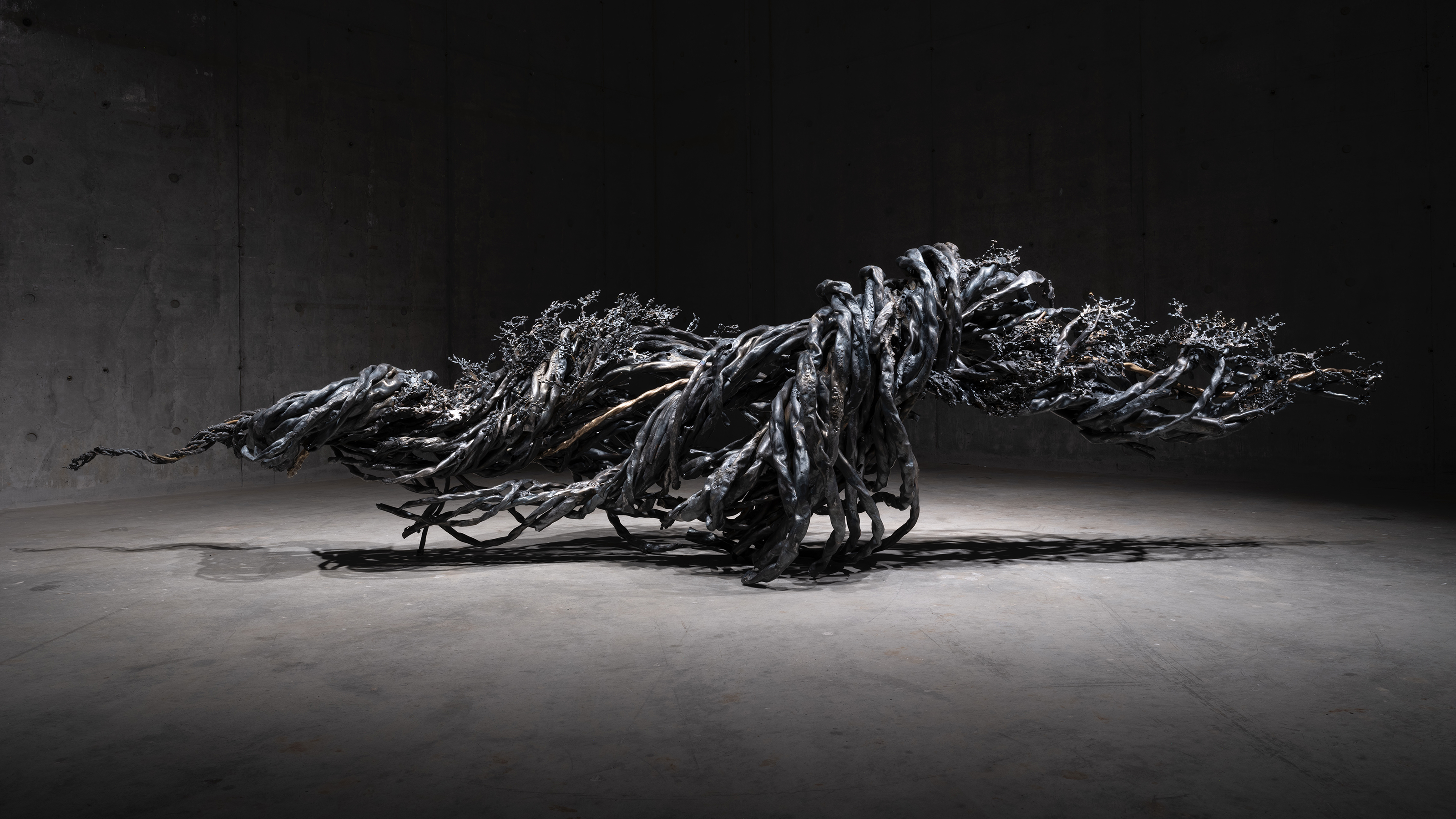 坂爪 亜蓮 《誰かに寄り添うために、一拍分余計に呼吸が必要だった