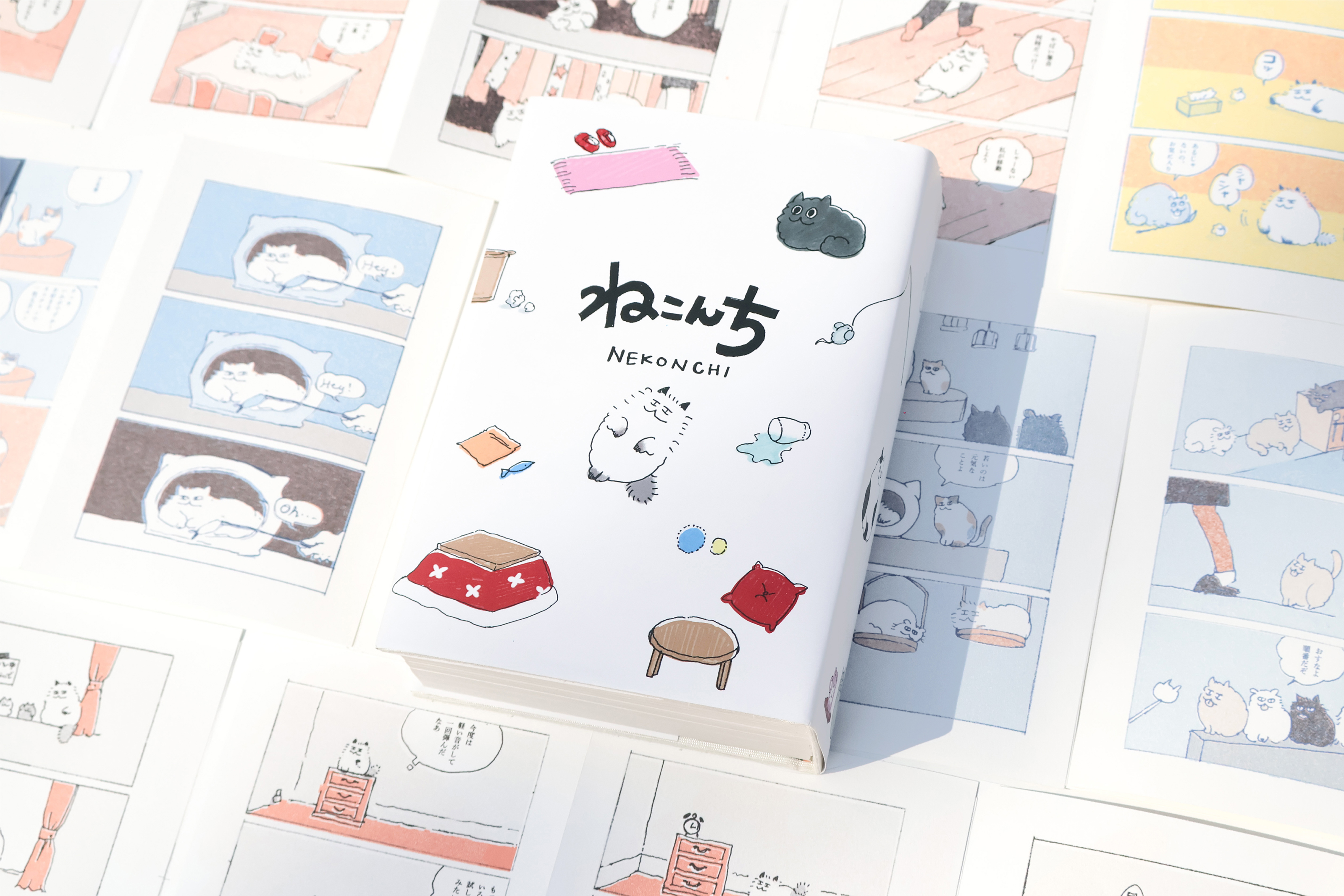 輿水 夏希 《ねこんち》 | 多摩美術大学